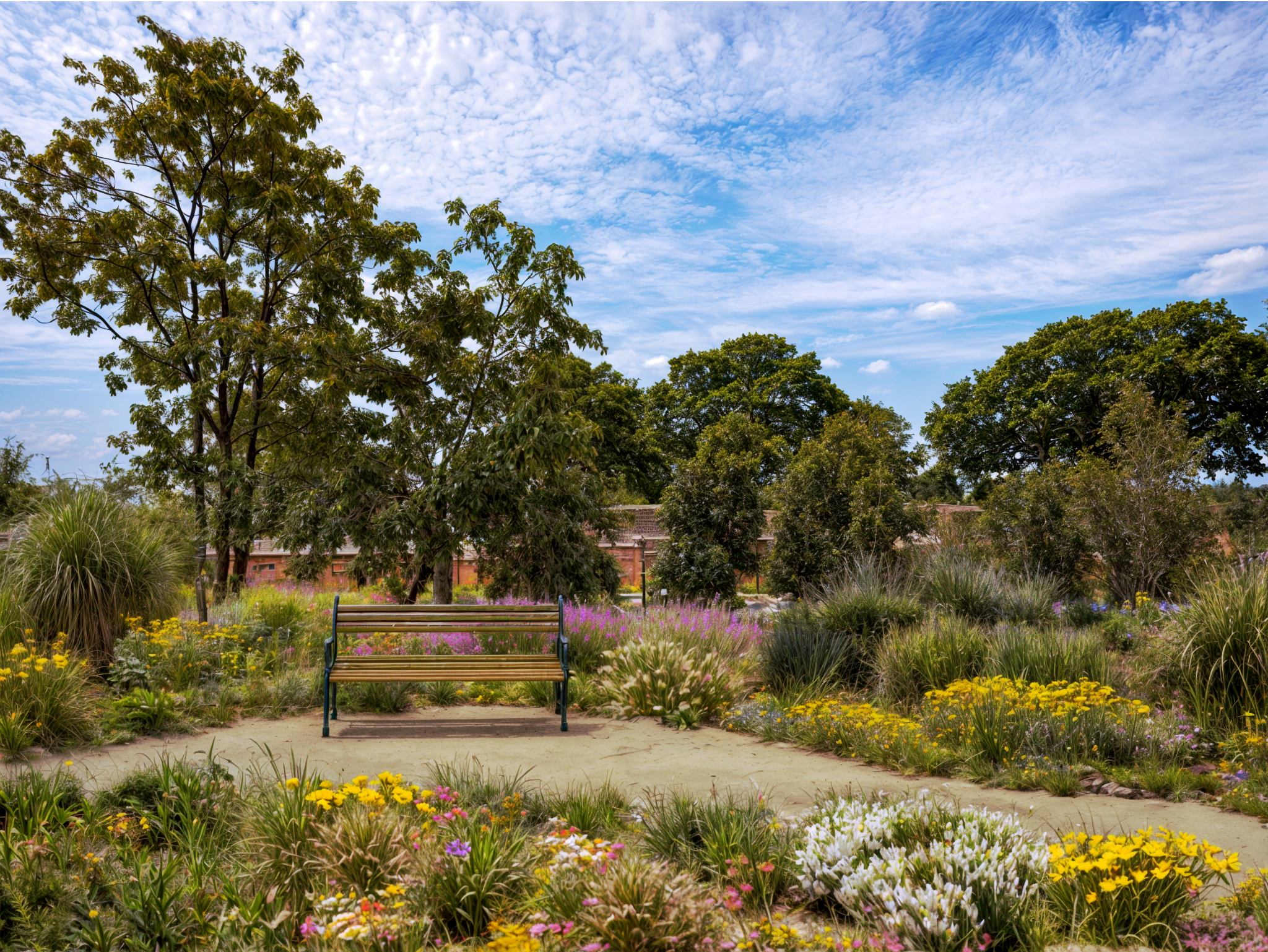 Projekt Zielona Ławeczka, Wrocław, będzie